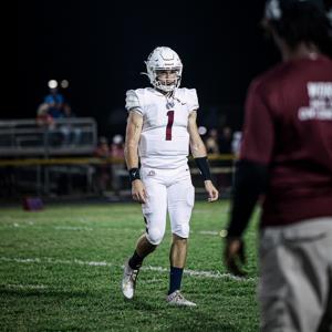 Lucas Despot mugshot