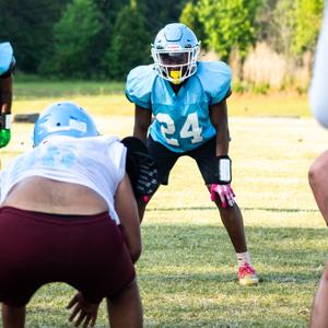 Diondre Haynes