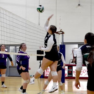 Laura Kate Pritchett mugshot