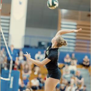 Rebecca Kammerer