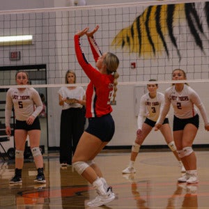 Adyson Beaird mugshot