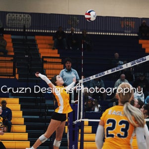 Addison Jeffery mugshot