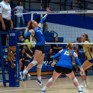 Lily Rockhold mugshot