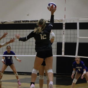 DELANEY WINKELMANN