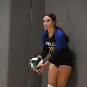 Kirsten Ellington mugshot