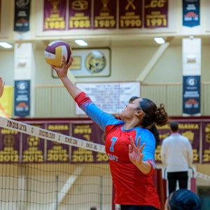 Selesitina Laufiso mugshot