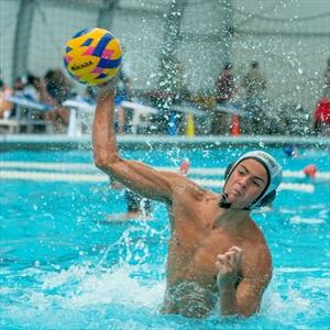 MATTHEW TROCHE