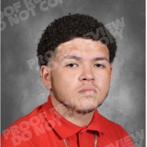 Luis Arroyo mugshot