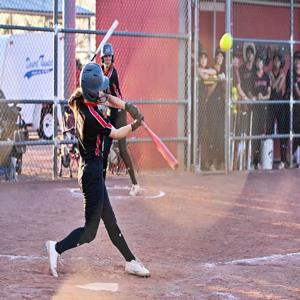 Angelina Dehler mugshot