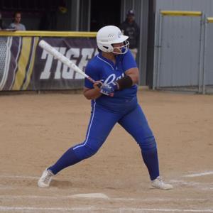 BRIANNA COUSINS mugshot