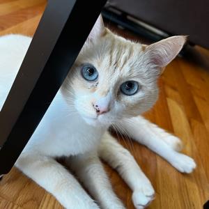 Zoe Connell Cartwright