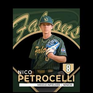 Nico Petrocelli mugshot