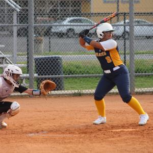 Nina Rodriquez mugshot