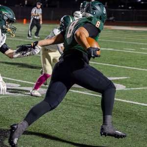 Scott Aholelei mugshot