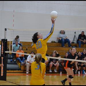 Katelyn Shoemaker mugshot