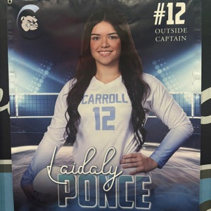 Laidaly Ponce mugshot
