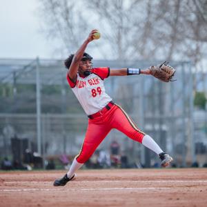 Alanna Clincy mugshot