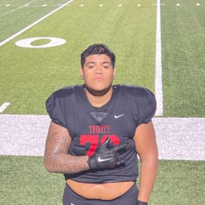 Pupungatoa Katoa