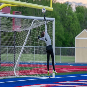 Lillian  Johns mugshot