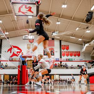 Mikala Minton mugshot