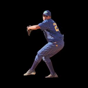 Sebastian Chari mugshot