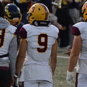 Sava Pouridis mugshot