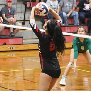 Callie Melocheck mugshot