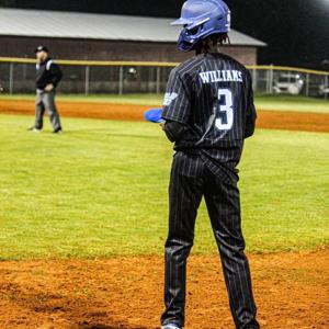 Amarie Williams mugshot