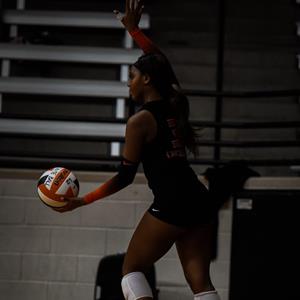 Emerie  Hickmon mugshot