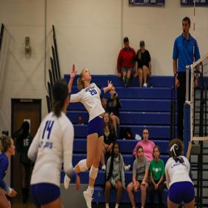 Arianna Nower mugshot