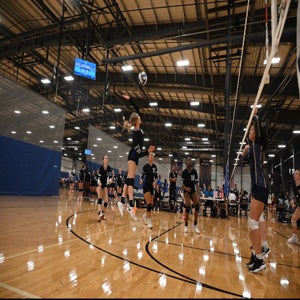 Madison Turner mugshot