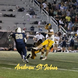 Andrew St John mugshot