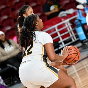 Sedmyah Steptoe mugshot