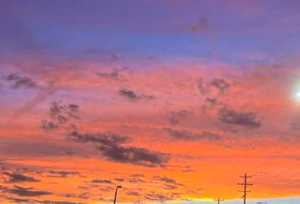 Sicily Lewis mugshot