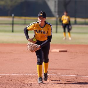 Isabel Hernandez mugshot