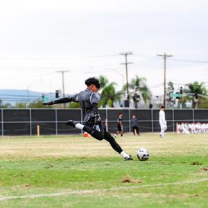 ANDREW GUARDADO
