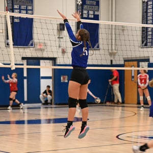 Vanessa Lawyer mugshot