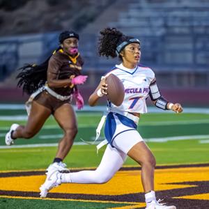 Vanessa Fregoso mugshot