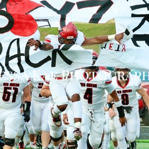 Damir Mowder mugshot