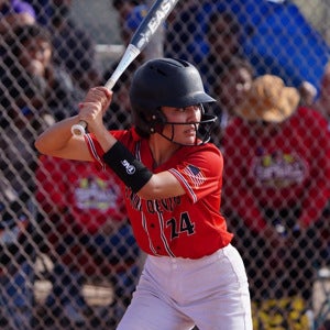 Alysa Manson mugshot