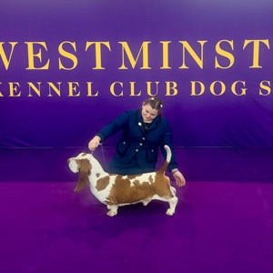 Kara Vitaich mugshot