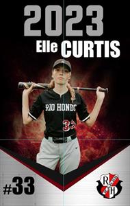 Elle Curtis mugshot