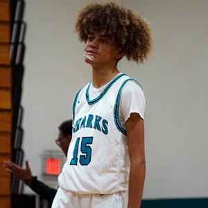 Alexander Mercer-Eriksen