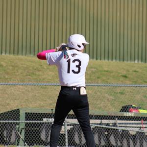 Nicholas Rodriguez mugshot