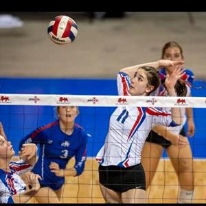 Mercedes Willis mugshot