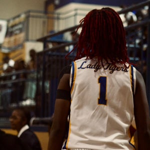 Aerionna Wallace mugshot