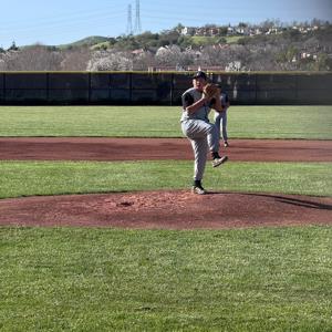 C. Vargas
