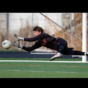 Colsen Preisman