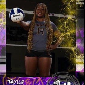 Taylor Blue