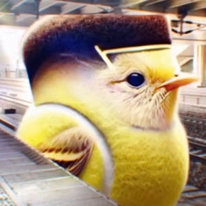 Fernando De los santos